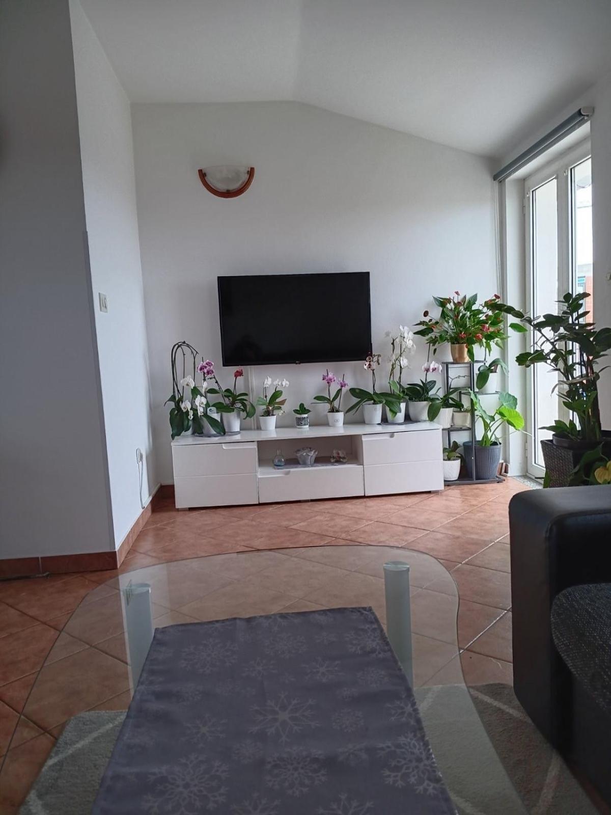 Apartman Sara Ровінь Екстер'єр фото